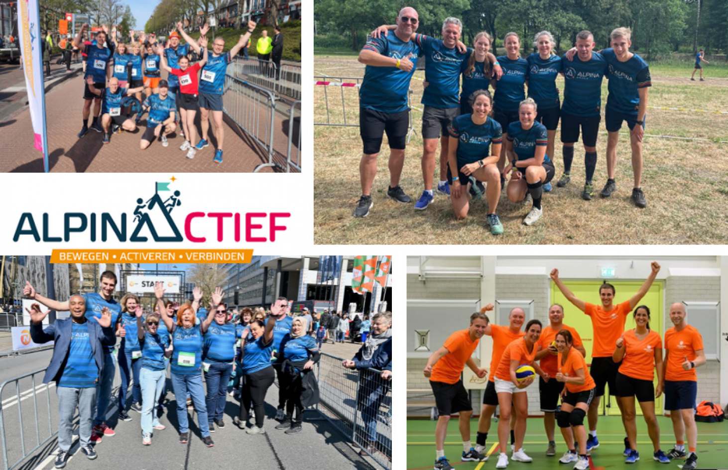 Alpina actief_2022