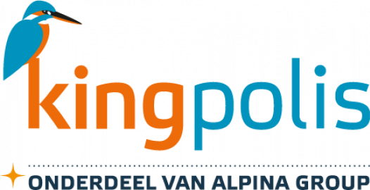 Logo Kingpolis
